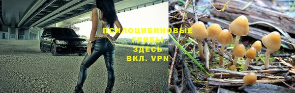 бутират Нягань